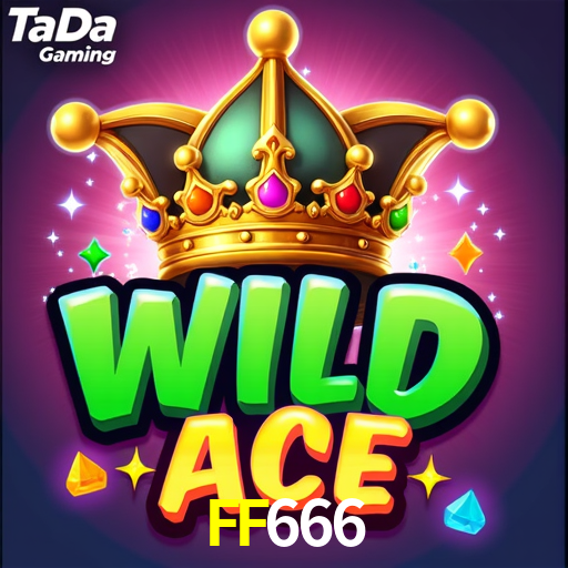 Premium Interface FF666